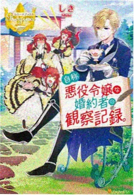 折光档案动画封面，棱镜折射的光带